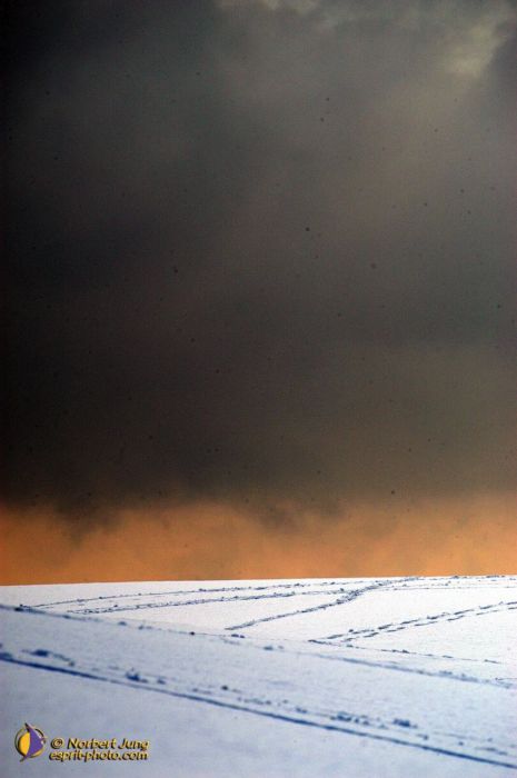 Nom de l'image : D1112125-nef-01_(c)Norbert-JUNG — Description :